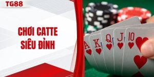 Chơi catte siêu đỉnh
