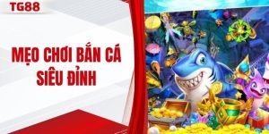 Mẹo chơi bắn cá siêu đỉnh