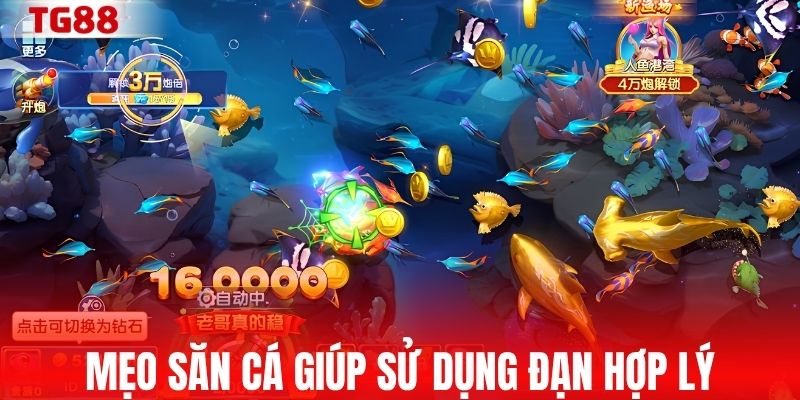 Mẹo săn cá giúp sử dụng đạn hợp lý