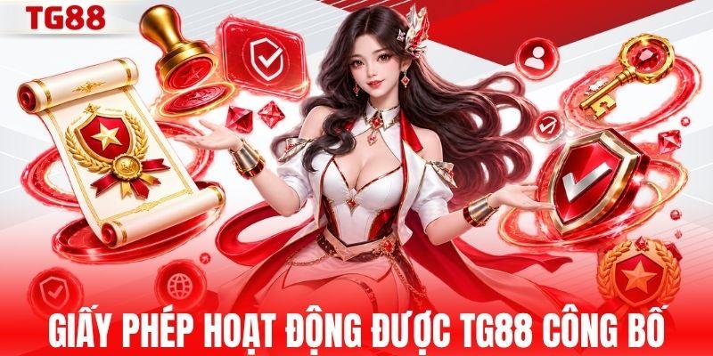Những giấy phép hoạt động được TG88 công bố