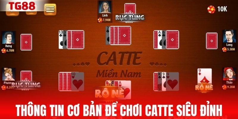 Những thông tin cơ bản để chơi catte siêu đỉnh
