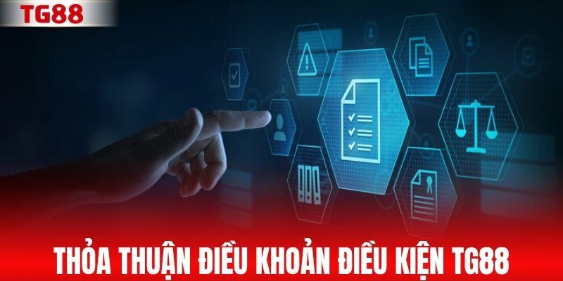 Thỏa thuận điều khoản điều kiện TG88