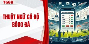 Thuật Ngữ Cá Độ Bóng Đá